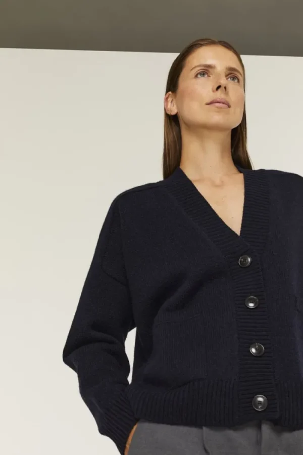 Gris Beaudelaire Cardigan Navy Best